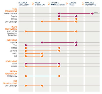 Rett syndrome research chart